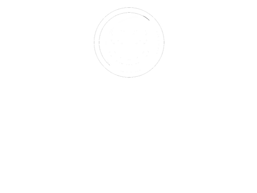 Shook.City Logo
